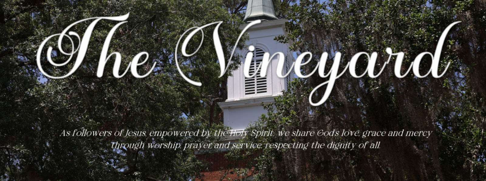 CCV-Vineyard-monthly-masthead